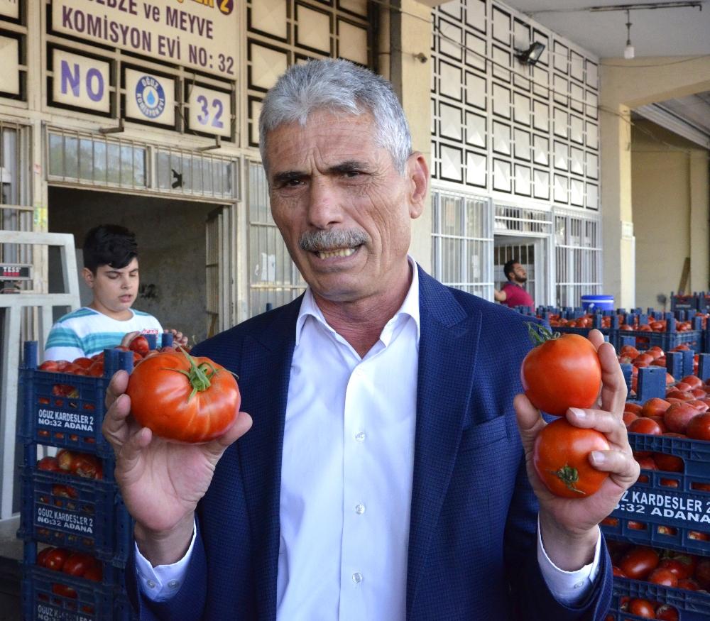 Tonlarca domates kabzımalların elinde kaldı