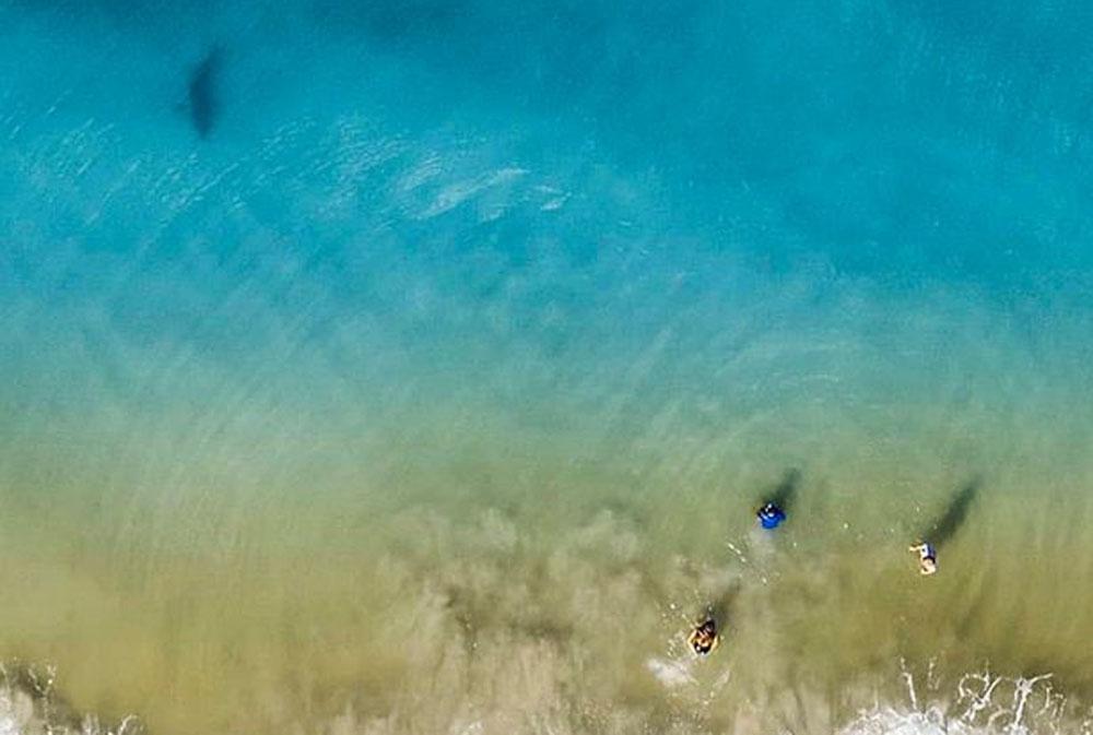 Çocuklarına doğru yüzen köpek balığını drone sayesinde fark etti
