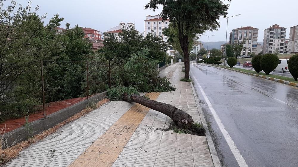 Fırtına bir kişinin ölümüne neden oldu 