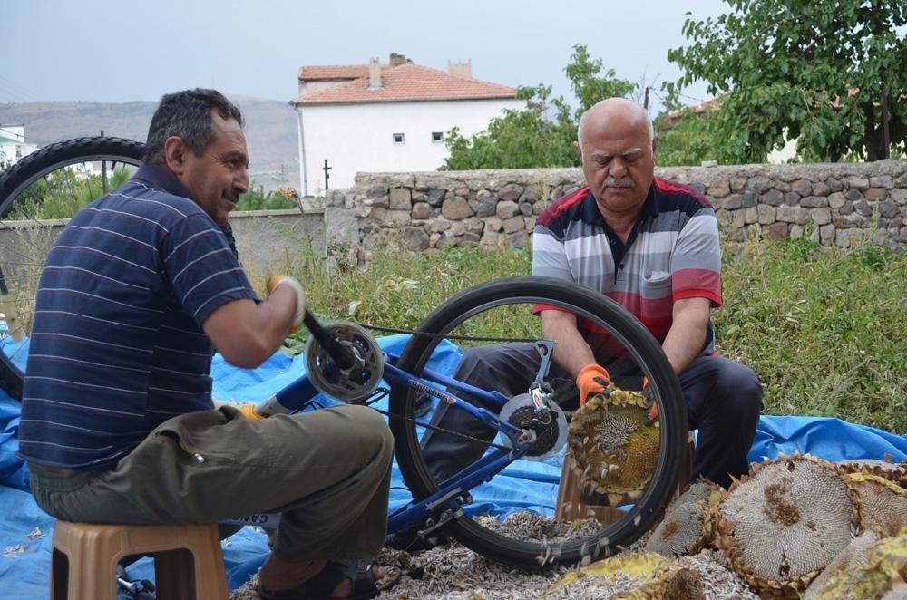 Ay çekirdeği ayıklamanın kolay yolu