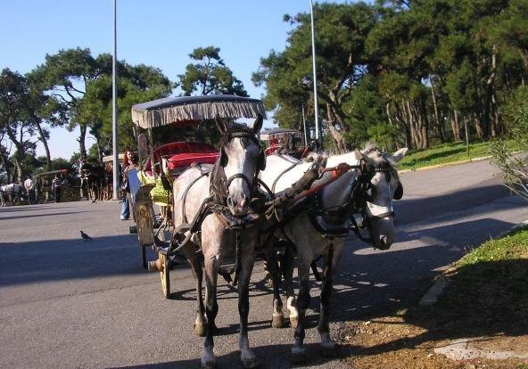 İzmir