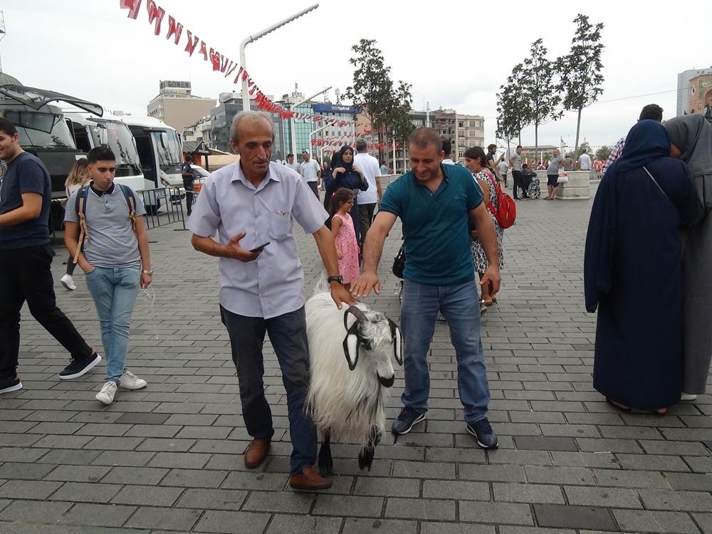 Keçisiyle Taksim