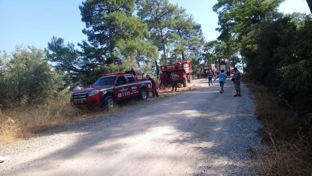 Orman yangınlarına kısa sürede müdahale Türkiye