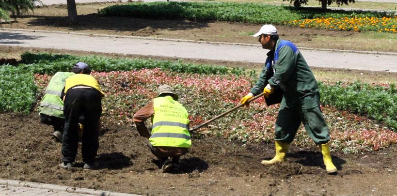 Taksim'e 50 bin çiçek dikildi