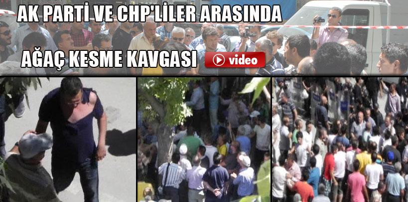 AK Parti ve CHP'liler arasında ağaç kesme kavgası