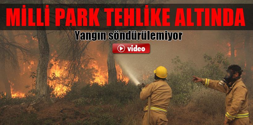 Çanakkale'de orman yangını