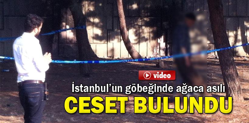 Şişli'de ağaca asılı ceset bulundu