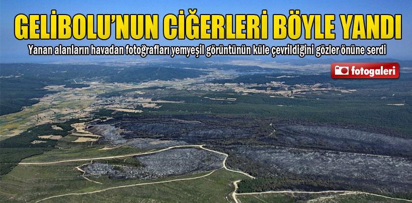 Gelibolu'nun ciğerleri işte böyle karardı