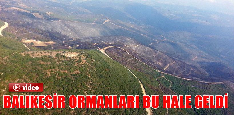 Balıkesir'deki ormanların son görüntüleri