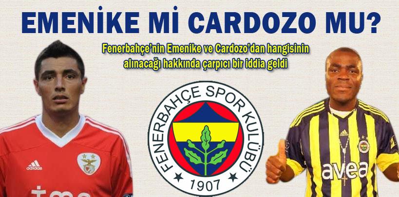 Fenerbahçe hangisini transfer edecek, Cardozo mu Emenike mi?