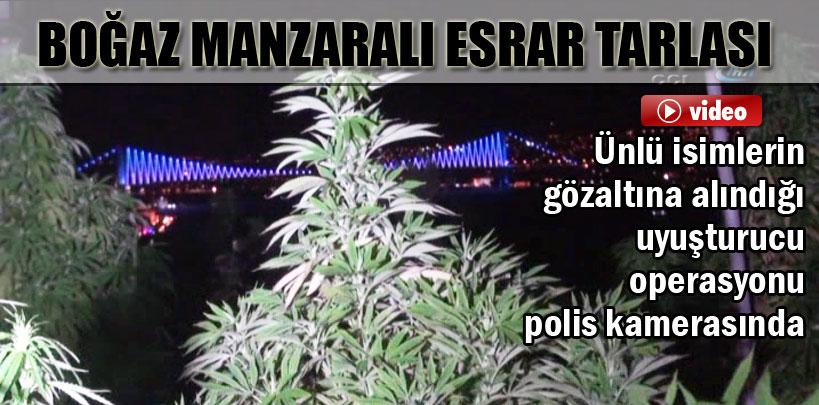 Boğaz Manzaralı esrar tarlası