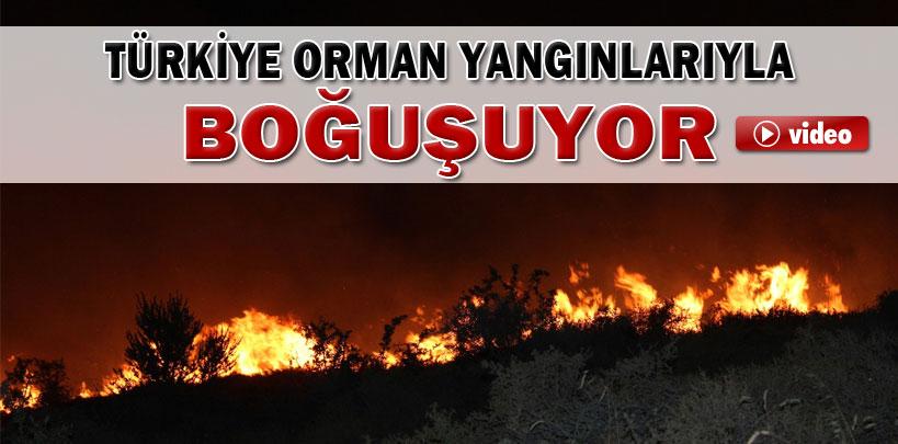 Türkiye orman yangınlarıyla boğuşuyor