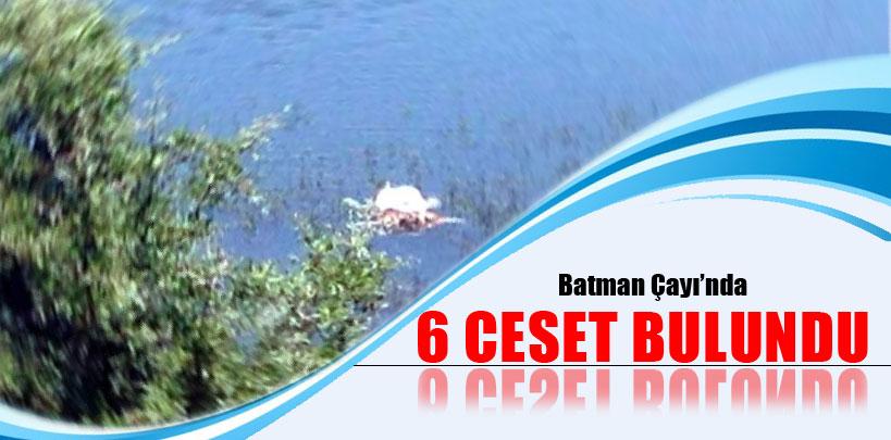 Batman Çayı'nda 6 ceset bulundu