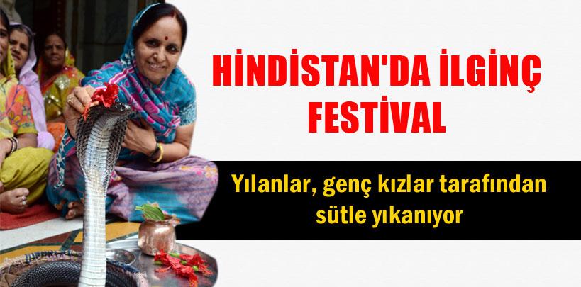 Hindistan'da yılanların sütle yıkandığı Naga Panchami Festivali