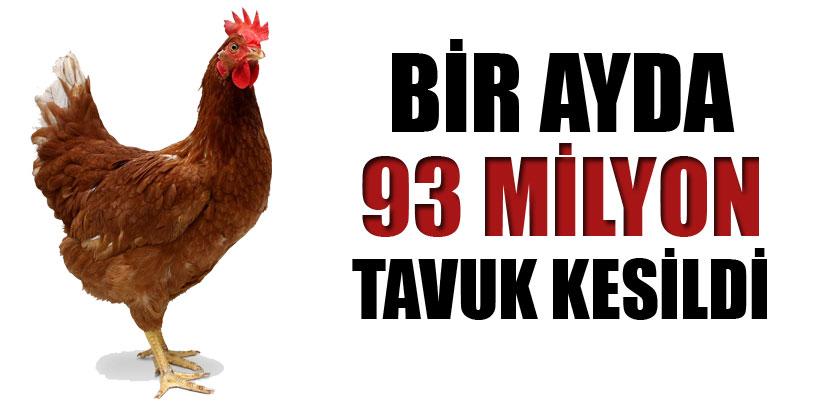 1 ayda 93 milyon tavuk kesildi