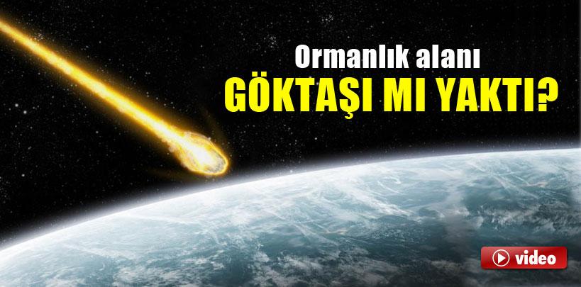 Ormanı göktaşı mı yaktı?