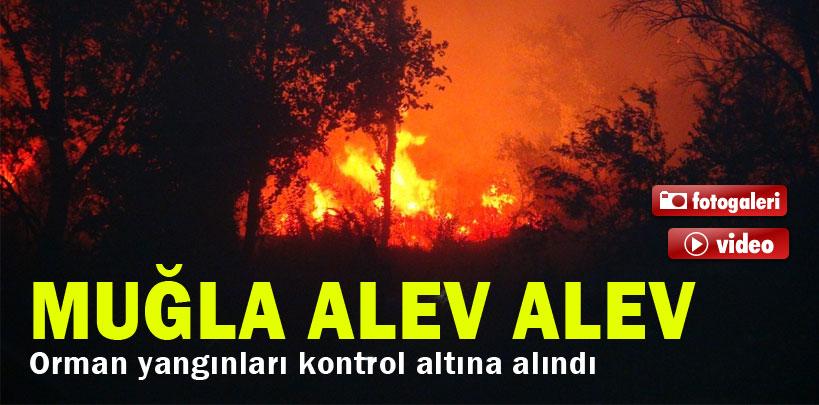 Veysel Erdoğlu, 'Orman yangınları kontrol altına alındı'