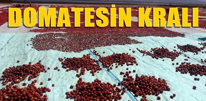 5 kişiyle başladı, şimdi Avrupa'ya ihraç ediyor