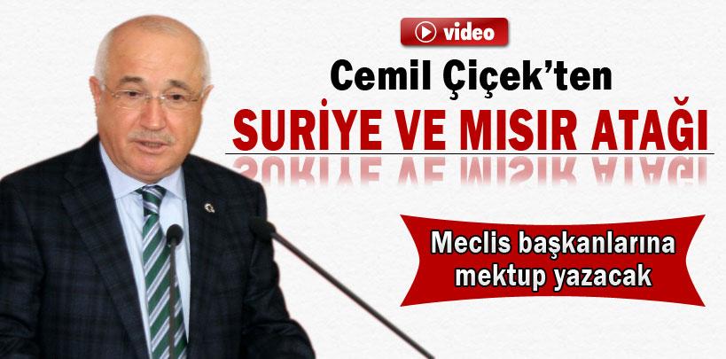 Cemil Çiçek'ten Suriye ve Mısır atağı