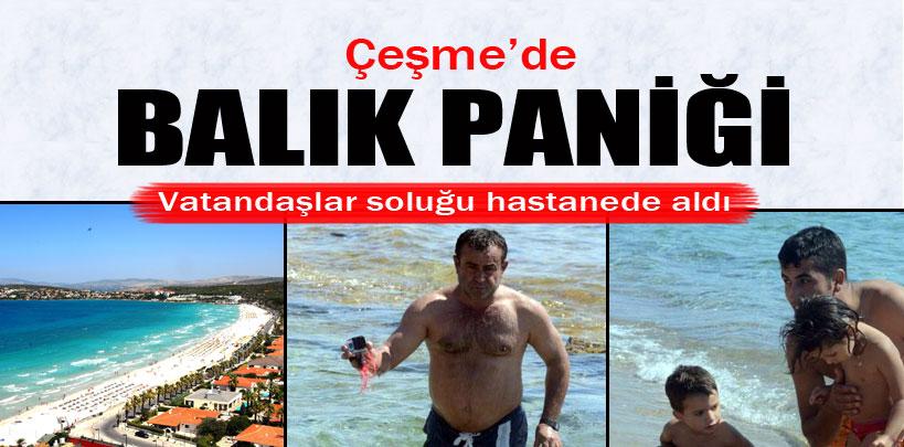 Çeşmede balık paniği