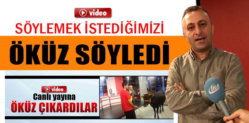 Kanal T Yöneticisi Akar, Bizim söylemek istediğimizi öküz söyledi