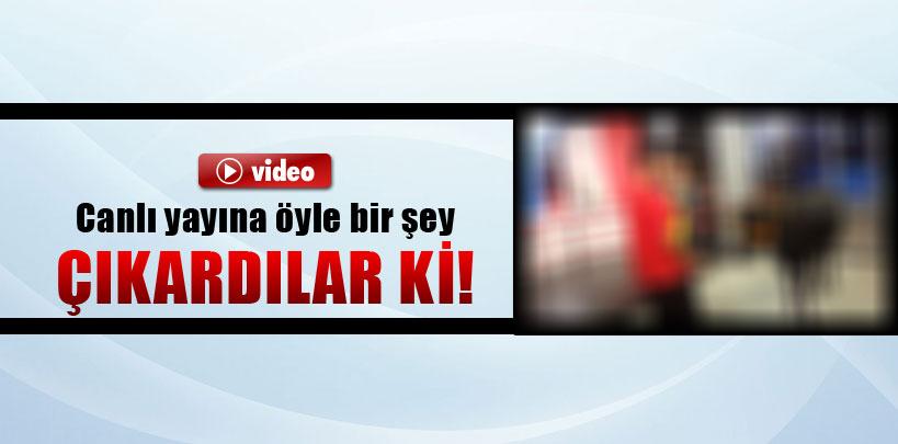 Canlı yayına 'öküz' çıkardılar