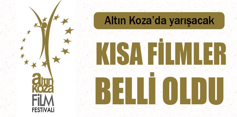 Altın Koza'da yarışacak kısa filmler belli oldu