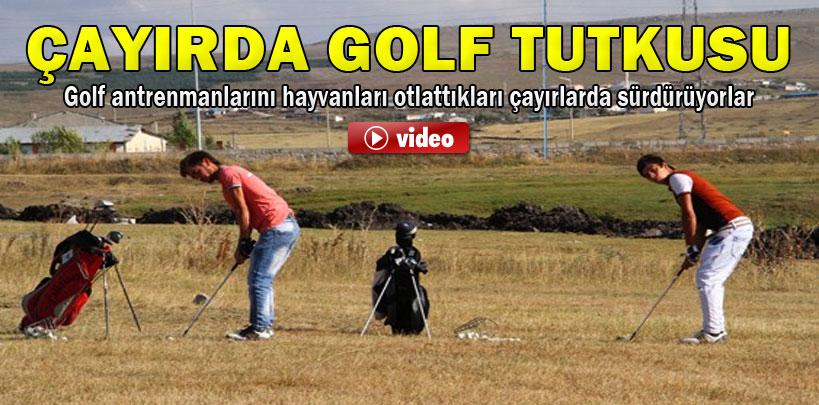 Ardahanlı gençlerin çayırda golf tutkusu