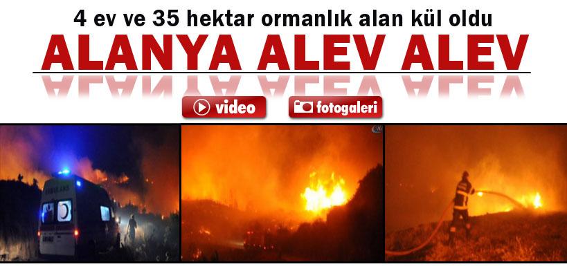 Alanya'da yangınlar, 4 ev ve 35 hektar ormanlık alan kül oldu