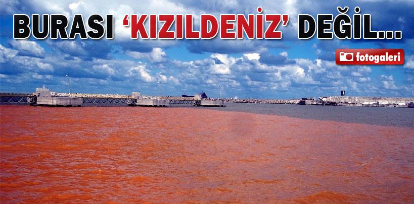 Karadeniz ‘Kızıldeniz'e dönüştü