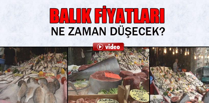 Balık fiyatları 1 ay sonra düşecek