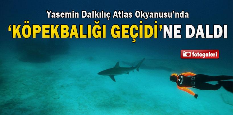 Yasemin Dalkılıç, Bahamalar‘da ‘Köpekbalığı Geçidi'nde dalış yaptı