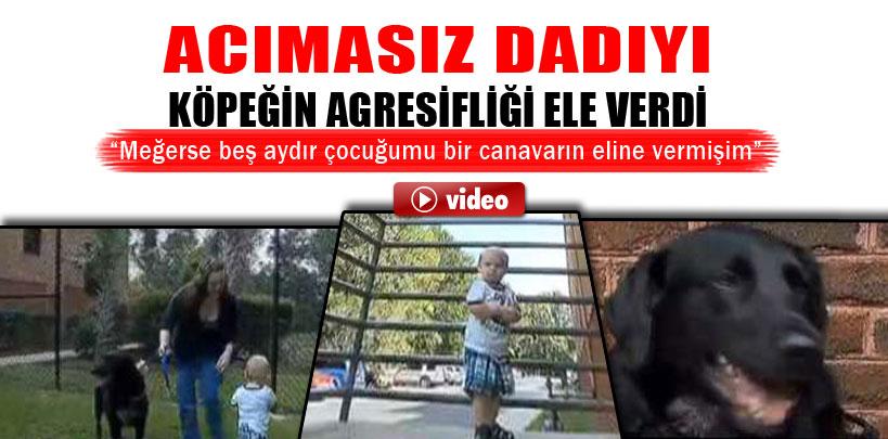 Köpeğin hırçınlığı dadı şiddetini ortaya çıkardı