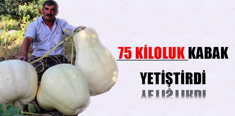 Kayseri'de bir çiftçi 75 kiloluk kabak yetiştirdi