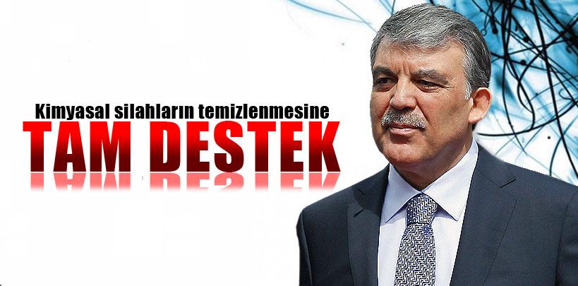 Abdullah Gül'den kimyasal silahların temizlenmesine tam destek