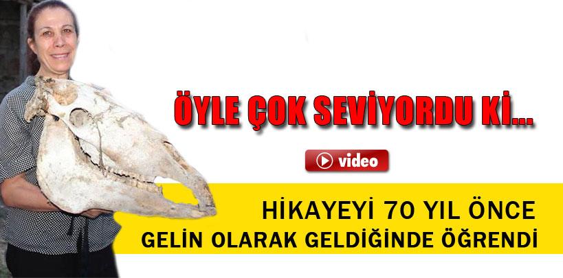 100 yıllık at başına sahip çıktı