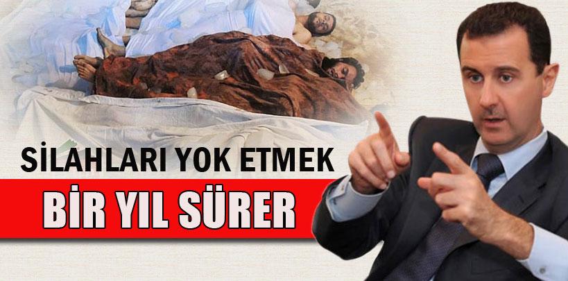 Esad: ‘silahları yok etmek bir yıl sürer'