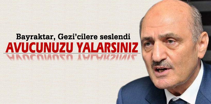 Erdoğan Bayraktar Gezi'cilere seslendi, 'Avucunuzu yalarsınız'