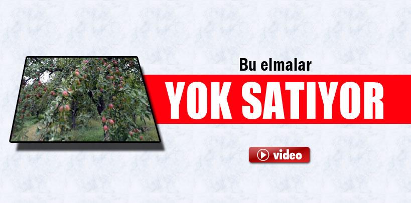 Kalp krizini önlediği iddia edilen Tosya elması yok satıyor