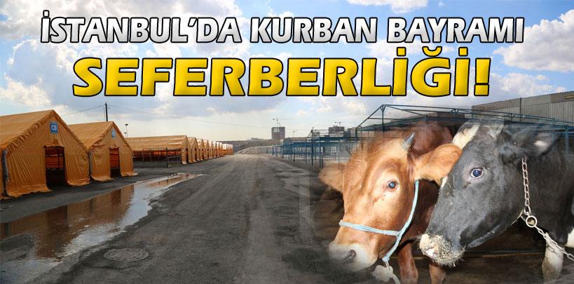 İstanbul'da kurban bayramı seferberliği