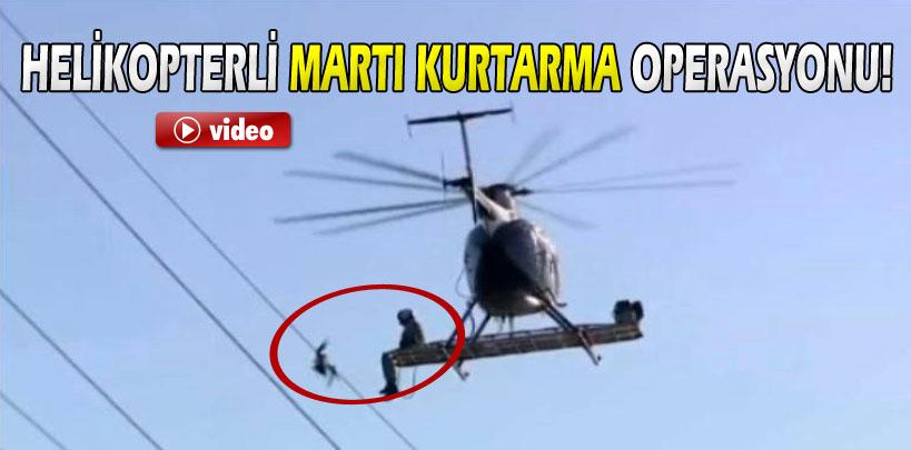 ABD'de helikopterli martı kurtarma operasyonu