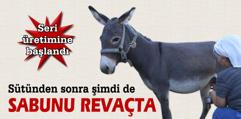 Eşeğin sütünden sonra sabunu revaçta