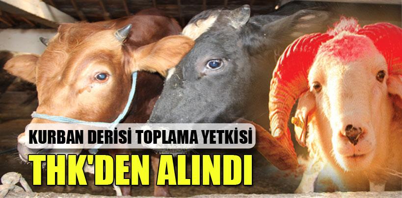 Kurban derisi toplama yetkisi THK'den alındı