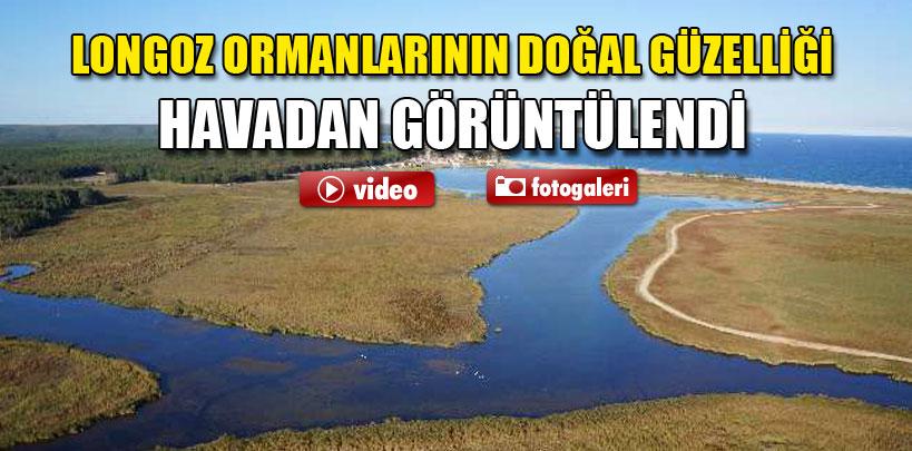 İşte havadan görüntülenen Longoz ormanları