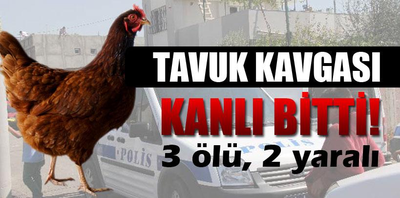 Adana'da, tavuk kavgası kanlı bitti