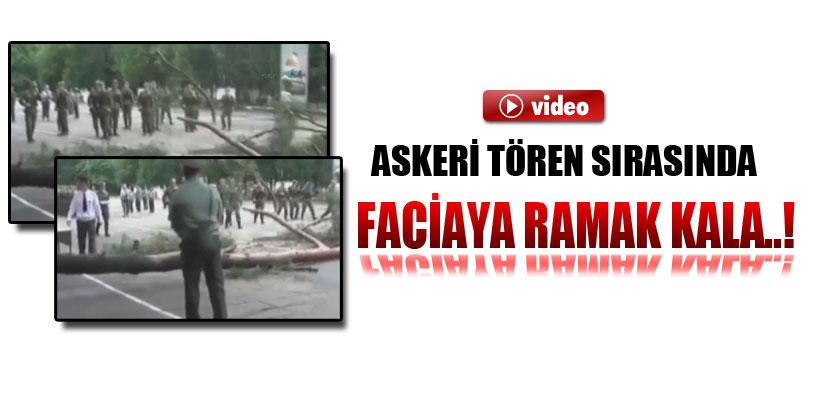 Rusya'da devrilen ağaç faciaya yol açıyordu