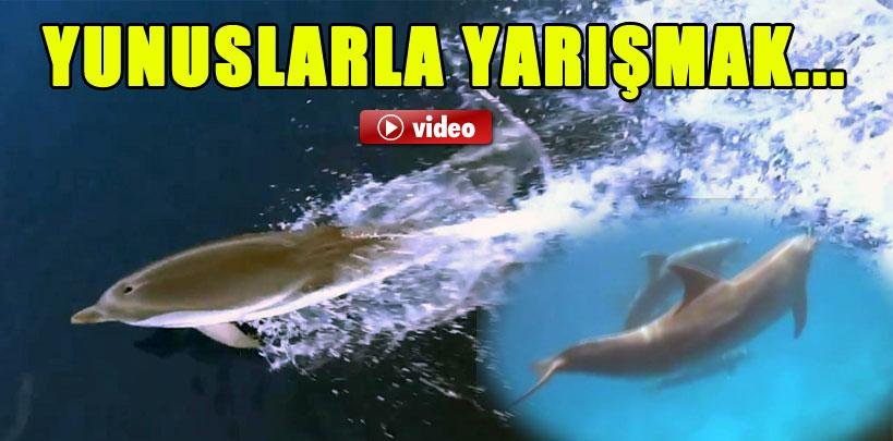 Yunuslar Marmaris'te lüks bir yatın peşine takıldı