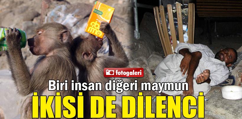 Biri insan diğeri maymun, ikisi de dilenci