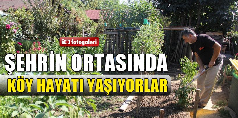 Bursa'da, şehir ortasında köy hayatı yaşıyorlar