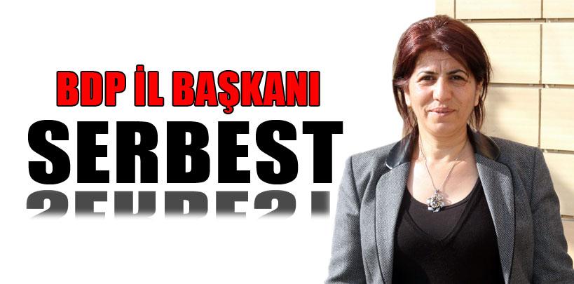 BDP İl Başkanı Zümrüt serbest bırakıldı